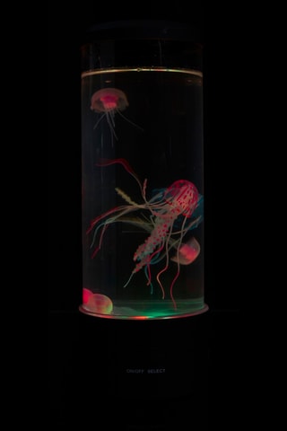Lampe d’ambiance - Noir