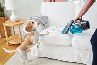 Aspirateur à main 2-en-1 Spillbuster - 10 min d'autonomie
