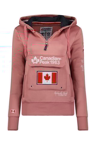 Sweater met Capuchon Gyrelle Poederroze