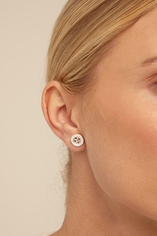 Puce et boucle d'oreilles - Plaqué argent