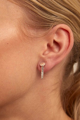 Boucles d’oreilles - Plaqué argent