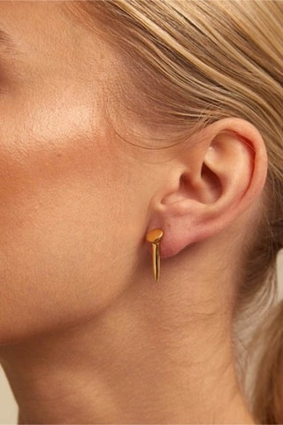 Boucles d’oreilles - Plaqué or jaune