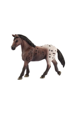 Jument Appaloosa Horse Club - Dès 5 ans