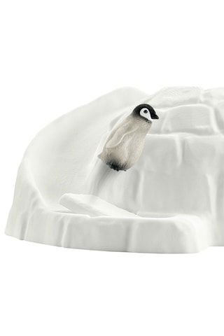 Antarctica-expeditie Wild Life - Vanaf 3 Jaar