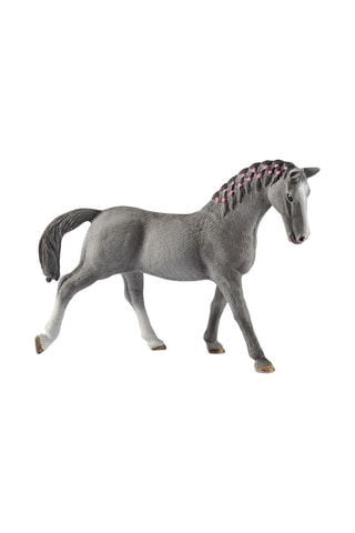 Jument Trakehnen Horse Club - Dès 3 ans