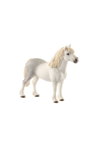 Mannelijke Poney - Vanaf 3 Jaar -