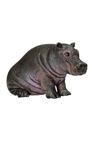 Jeune hippopotame Wild Life - Dès 3 ans