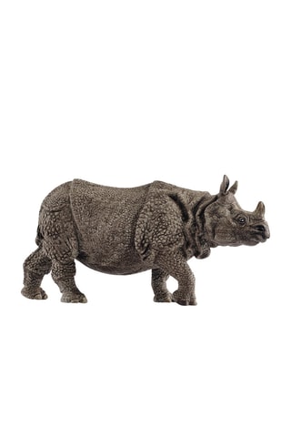 Indische neushoorn- Vanaf 3 Jaar