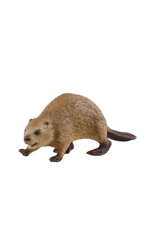 Bever Wild Life - Vanaf 3 Jaar