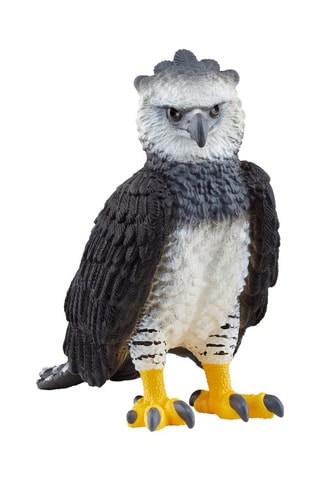 Wilde harpij Wild Life Vanaf 3 Jaar