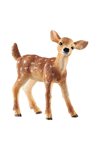 Witstaarthertenjong Wild Life Vanaf 3 Jaar