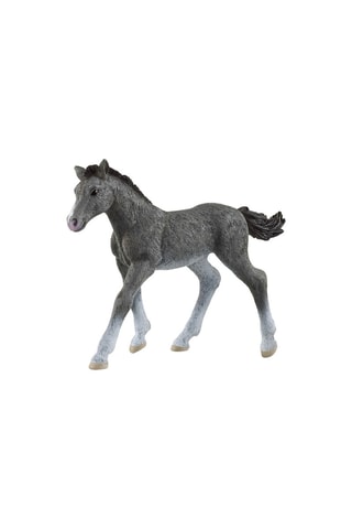 Poulain Trakehnen Horse Club - Dès 5 ans