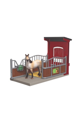 Box avec jument mustang - Dès 3 ans