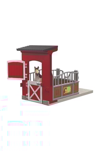 Box avec jument mustang - Dès 3 ans