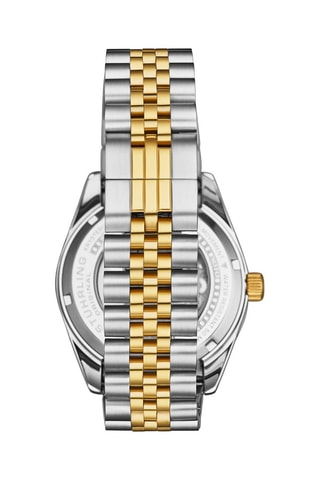 Stalen Automatisch Horloge Zilver- en Goudkleurig