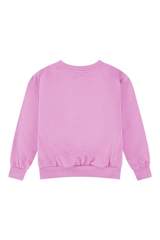 Sweat - Rose