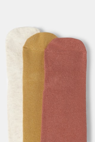 3 collants - Vieux rose, blanc et moutarde - Obaïbi