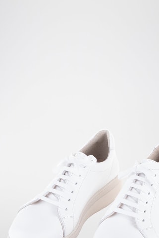 Leren Sneakers Ernesto - Wit