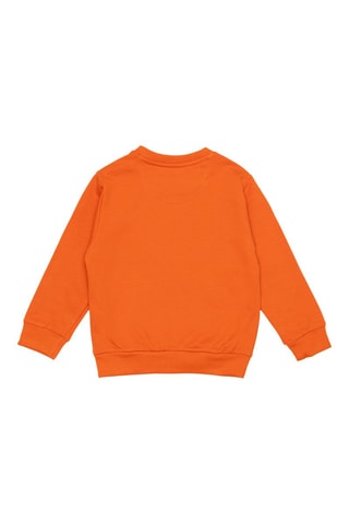 Sweater Oranje
