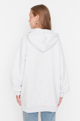 Sweat com capuz Cinzento