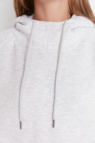 Sweat com capuz Cinzento