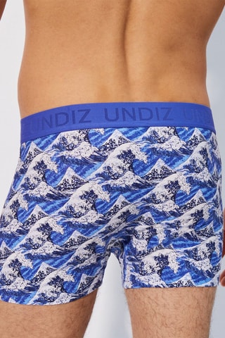 Boxers Repeatiz Fujikusaiz Branco