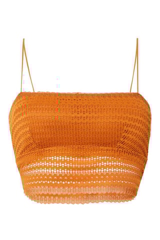 Kanten Crop Top Agatiz Bruin