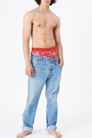 Boxers Katchiz Monsteradiz Vermelho e verde