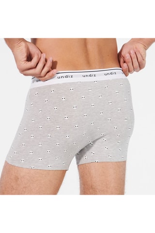 Boxers Boxeruniz-Pixiskulliz - Cinzento-claro mesclado