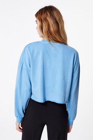 Sweater Blauw