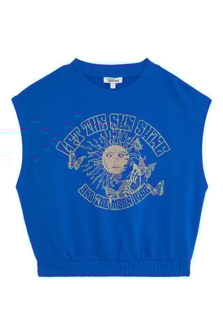Sweater Felblauw