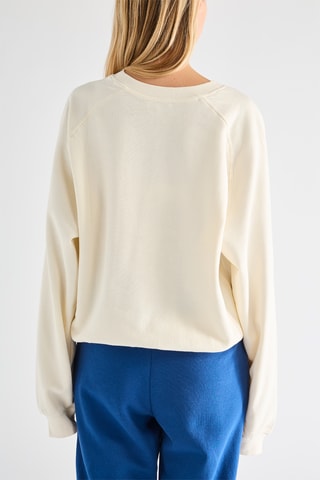 Sweater - Beige