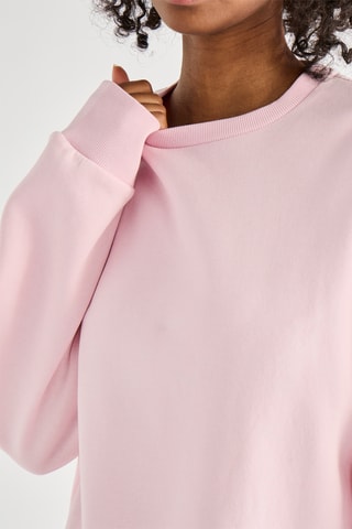 Sweat - Rose