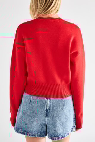 Trui - Rood