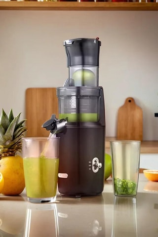 Extracteur à jus en acier inoxydable - 800 ml - 160 W