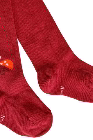 Panty - Rood