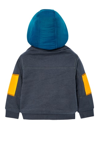 Sweater met Capuchon - Grijs
