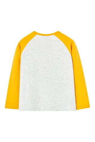 T-shirt - Gemêleerd Lichtgrijs