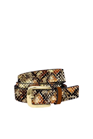 Ceinture - Marron