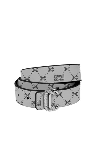 Ceinture - Gris