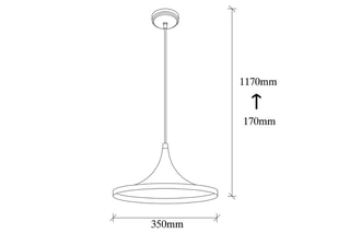Hanglamp Elmas Zwart en Goudkleurig