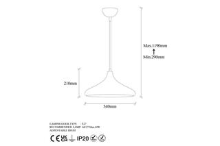 Hanglamp Zwart en Koperkleurig