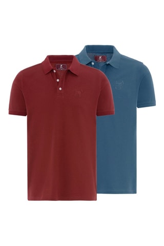 2 polos - Bordeaux et bleu foncé