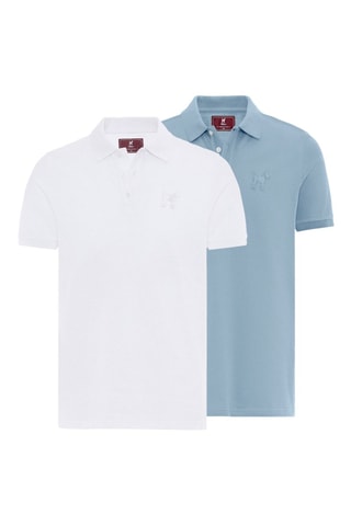 2 polos - Blanc et bleu