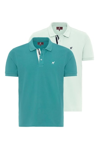 2 polos - Vert et turquoise