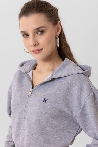 Sweat à capuche - Gris chiné