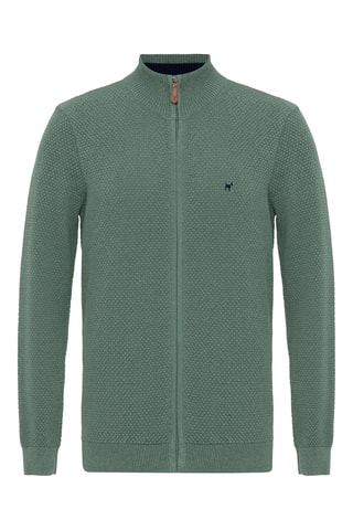 Gilet - Vert