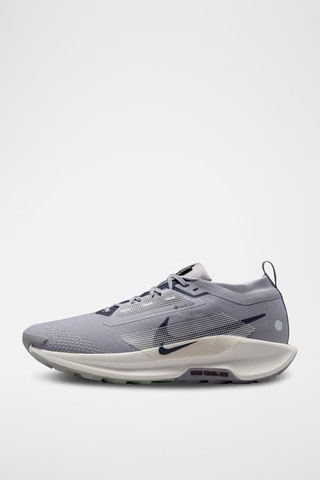 Pegasus 5 - Gris clair - Nike