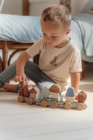 Comboio de blocos esquilo - A partir dos 18 meses