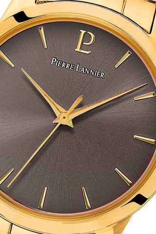 Stalen Quartz Horloge Roxane - Goudkleurig en Donkergrijs